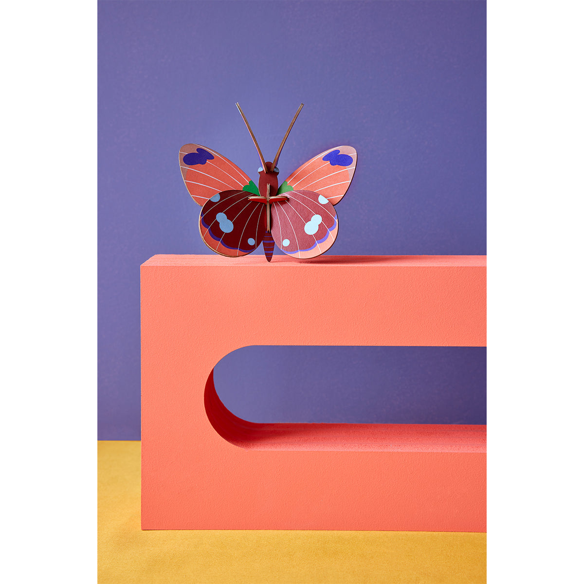 Wall Art Butterflies (B7) Delias Butterfly