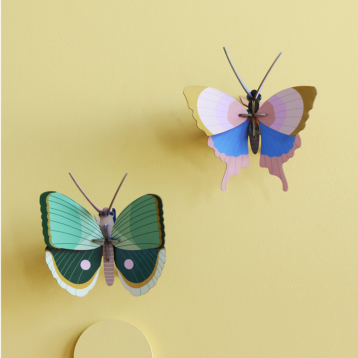 Wall Art Butterflies (B7) Gold Rim Butterfly