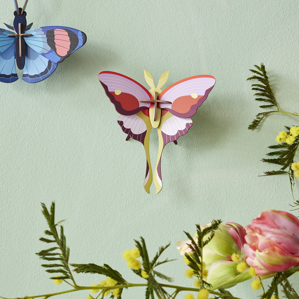 Wall Art Butterflies (B7) Lilac Comet Butterfly