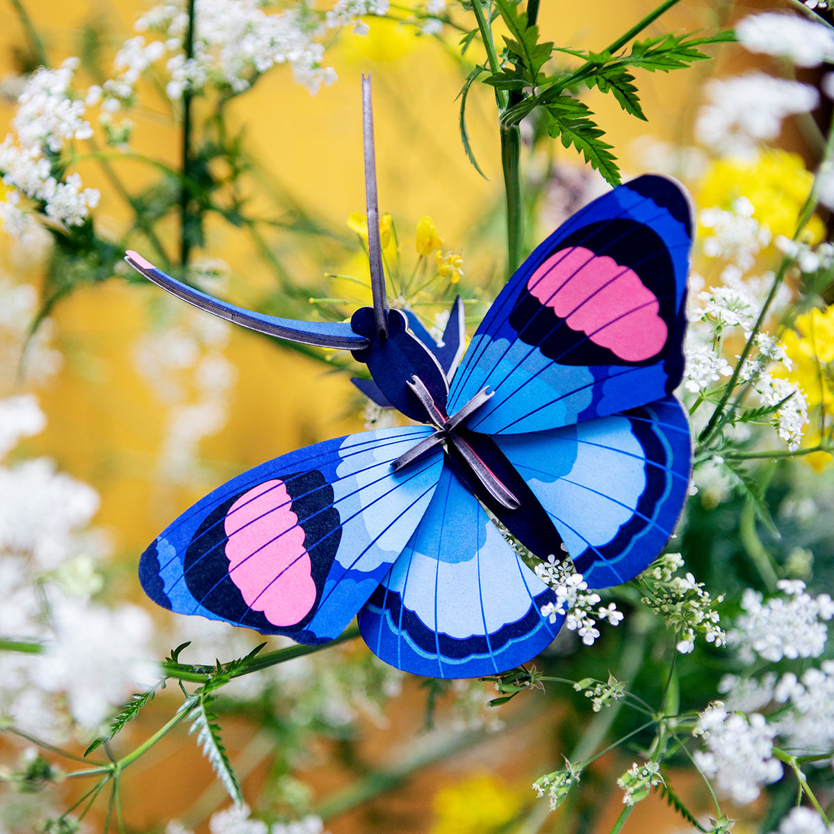 Wall Art Butterflies (B7) Peacock Butterfly