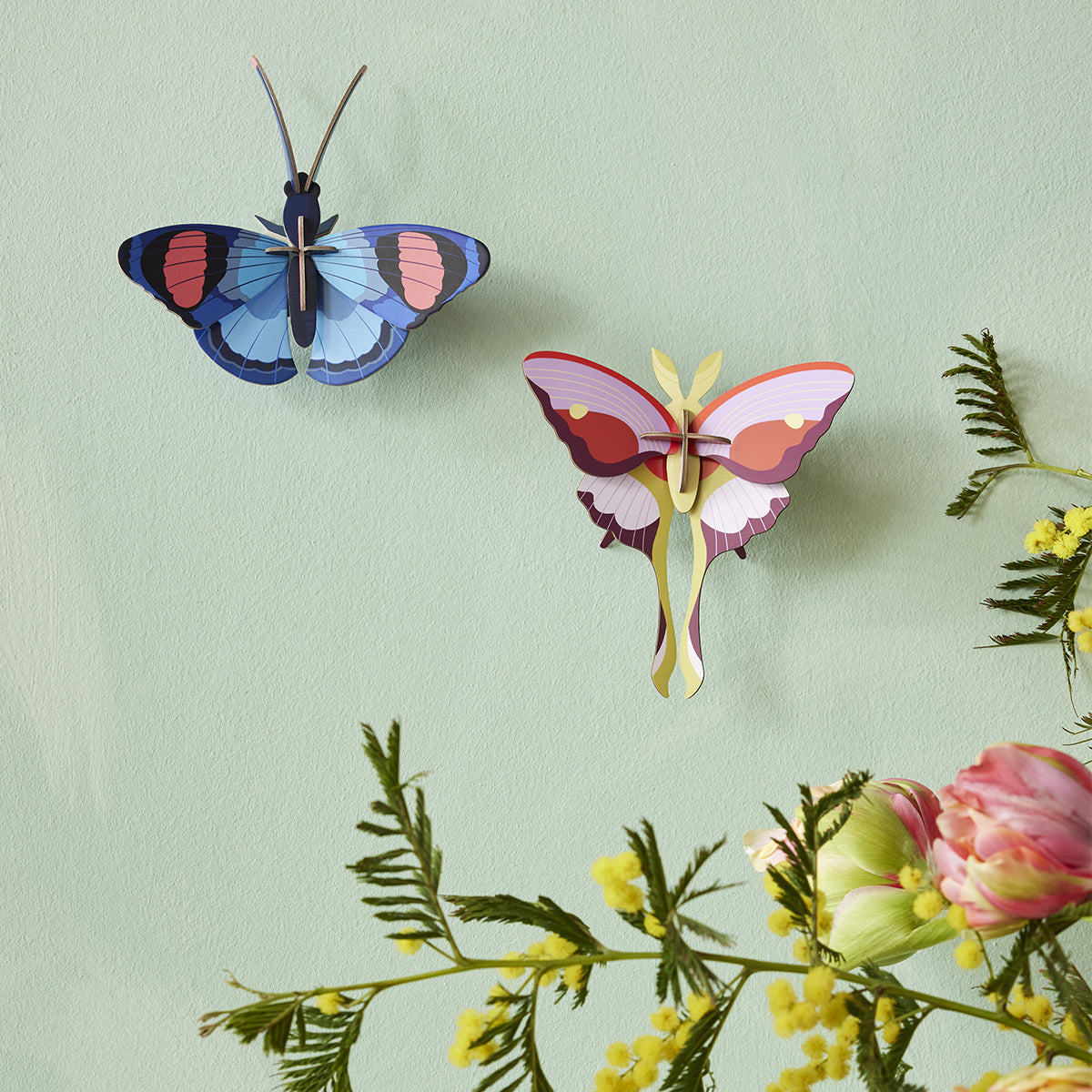 Wall Art Butterflies (B7) Peacock Butterfly