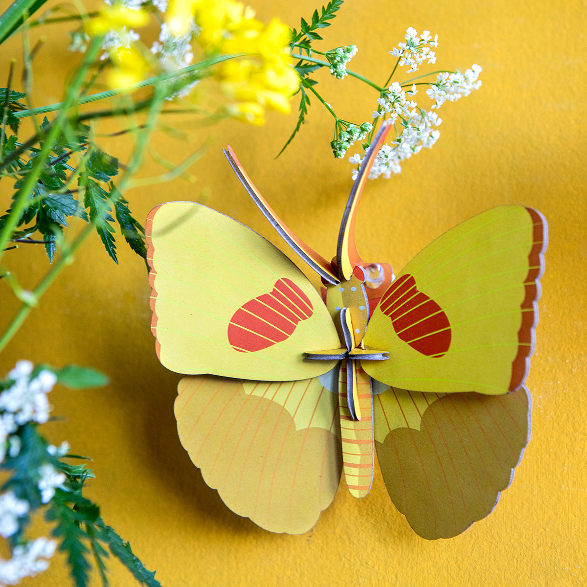 Wall Art Butterflies (B7) Yellow Butterfly