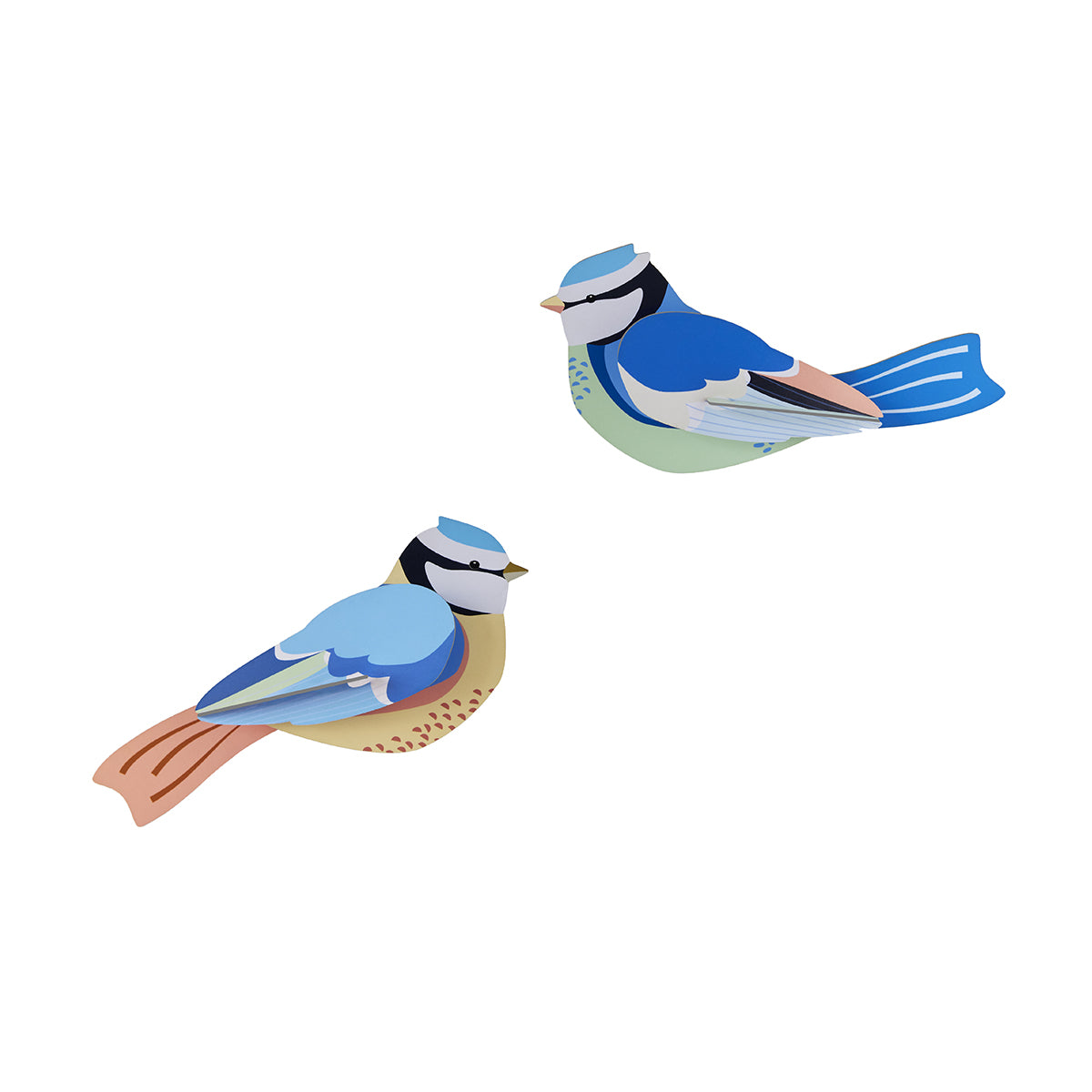 Wall Art Garden Birds (B6) Blue Tits