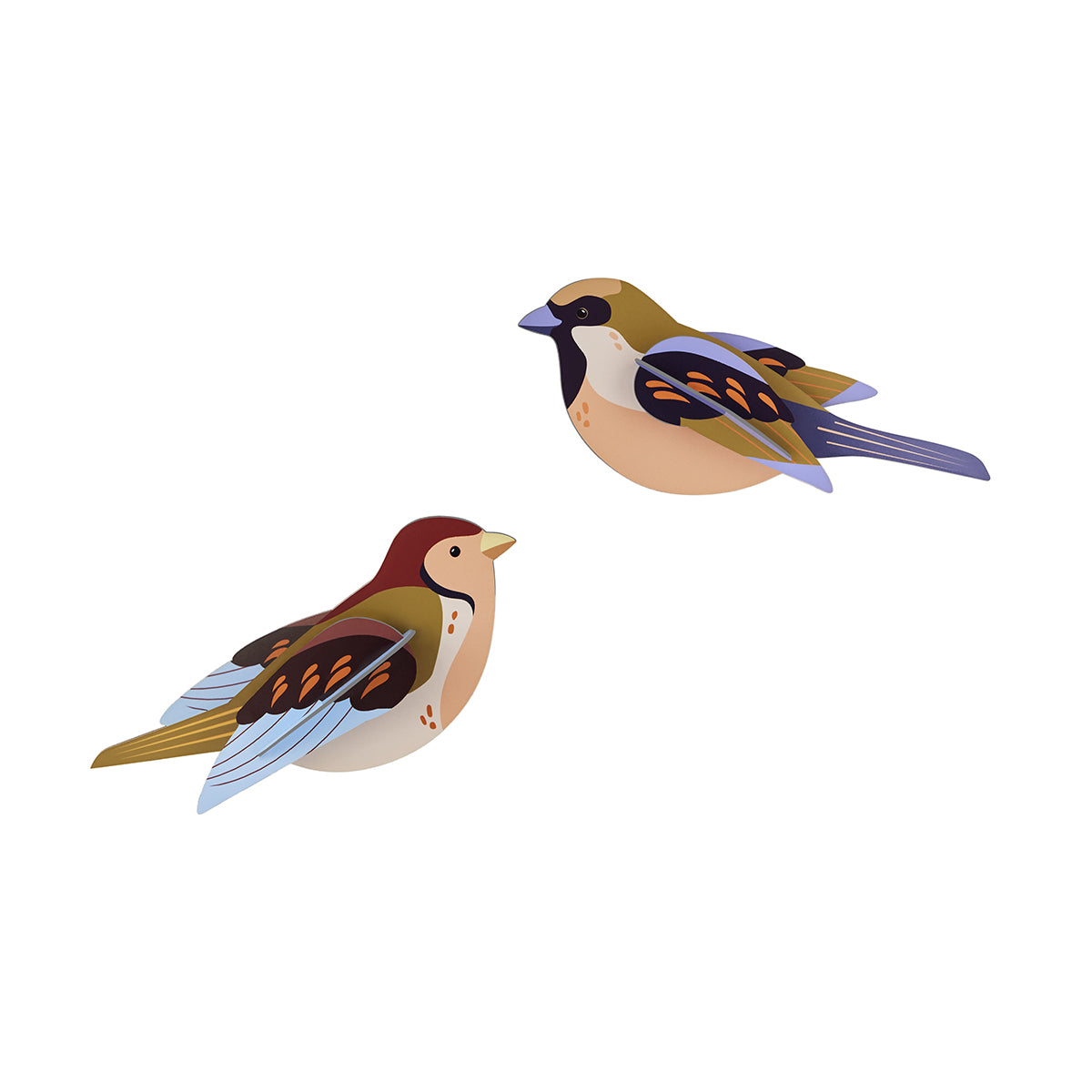 Wall Art Garden Birds (B6) Sparrows