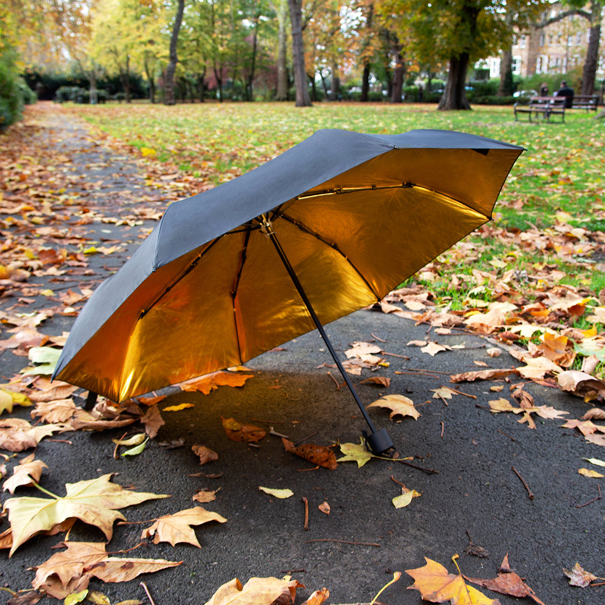 Suck UK Umbrella Black & Gold