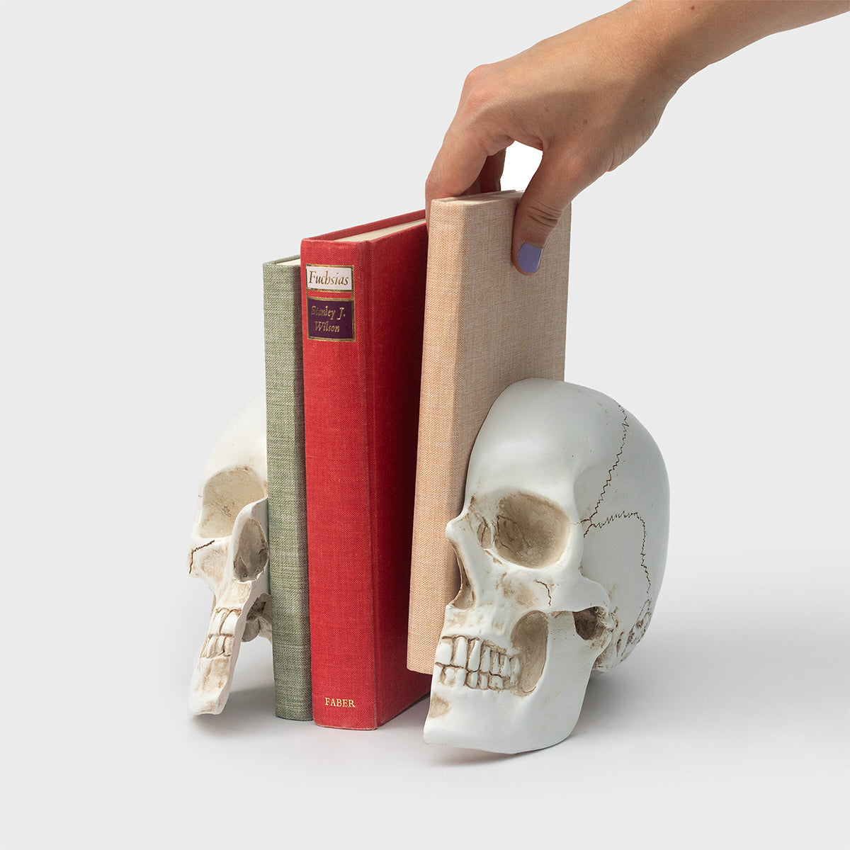 Skull Bookends