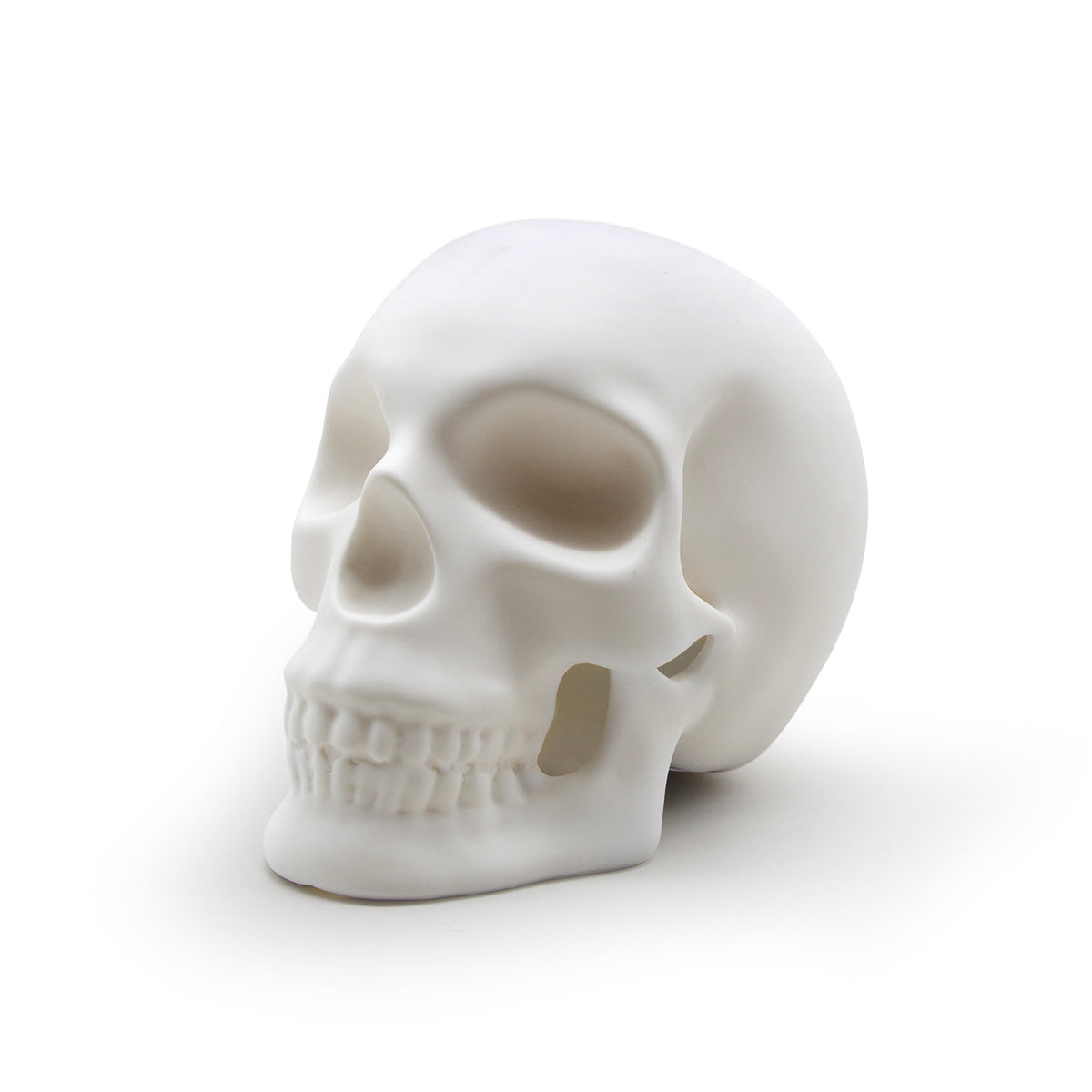 Skull Light