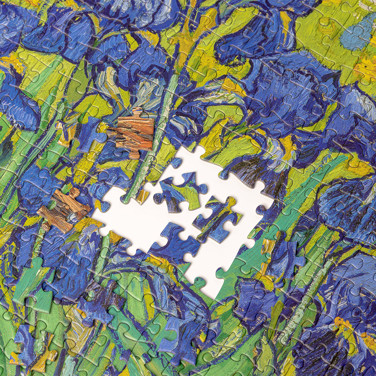 Today Is Art Day Art Puzzle Vincent Van Gogh Irises