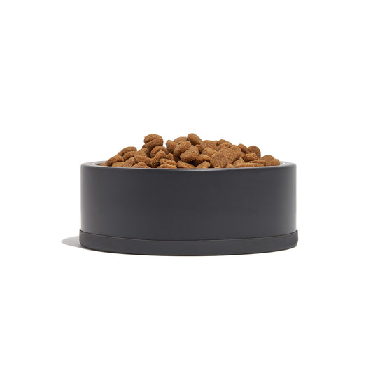 Wild One Dog Bowl Small Black