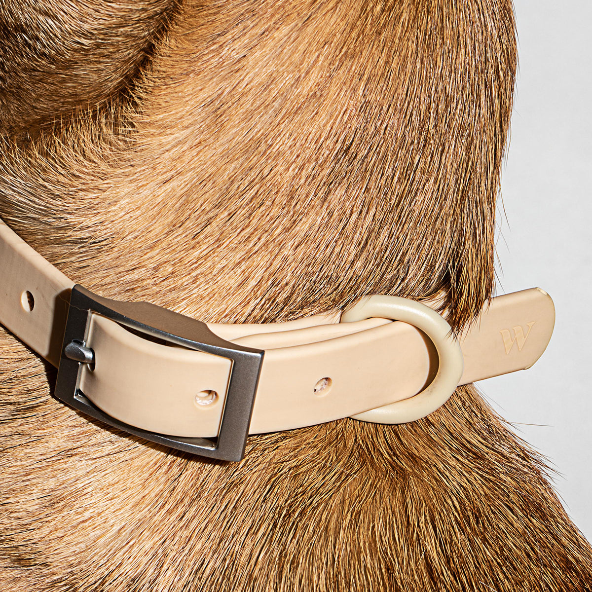 Dog Collar Large Tan