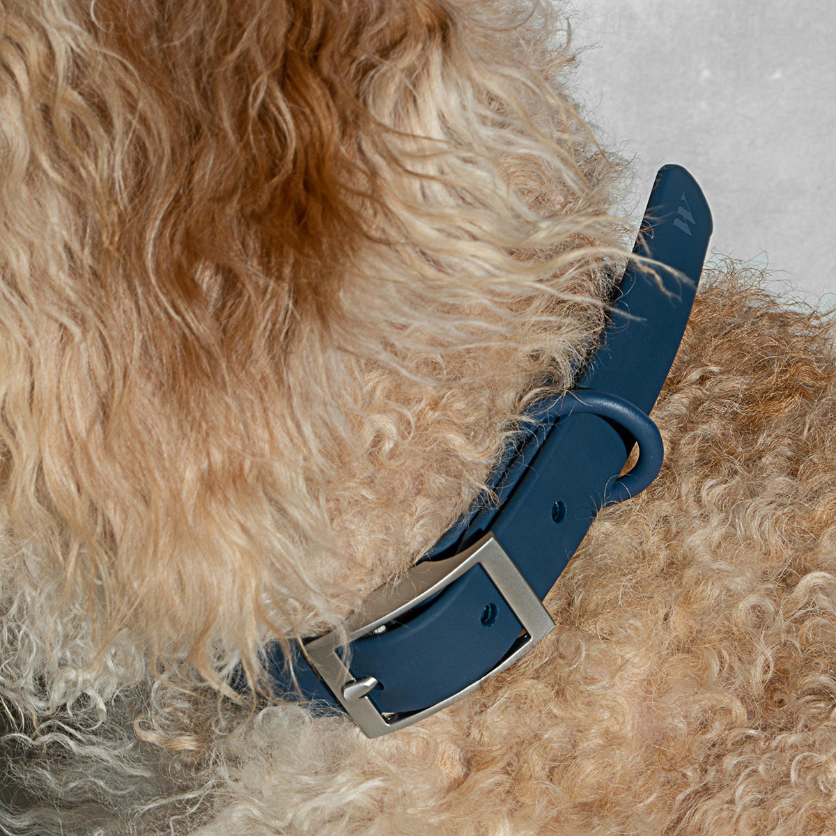 Dog Collar Small Navy