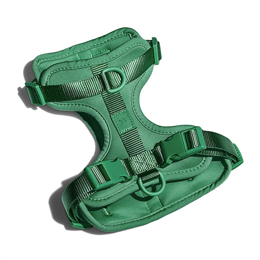 Dog Harness Large Spruce