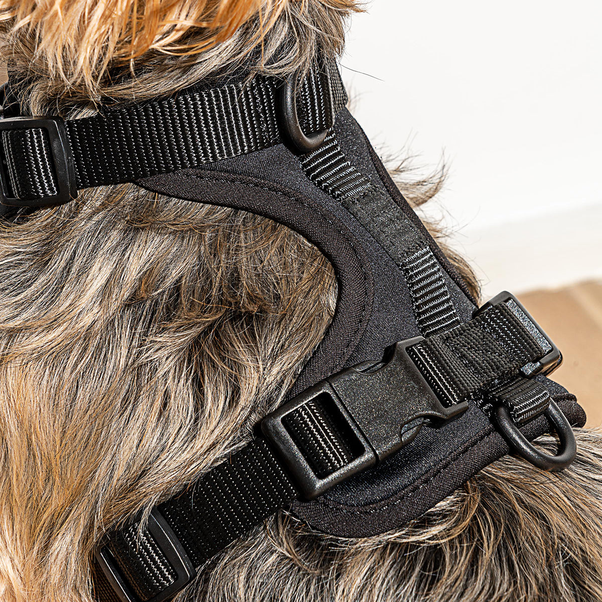 Dog Harness Small Black