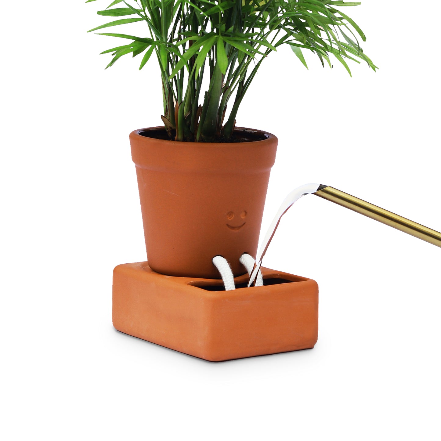 Pikkii Planter Self Care
