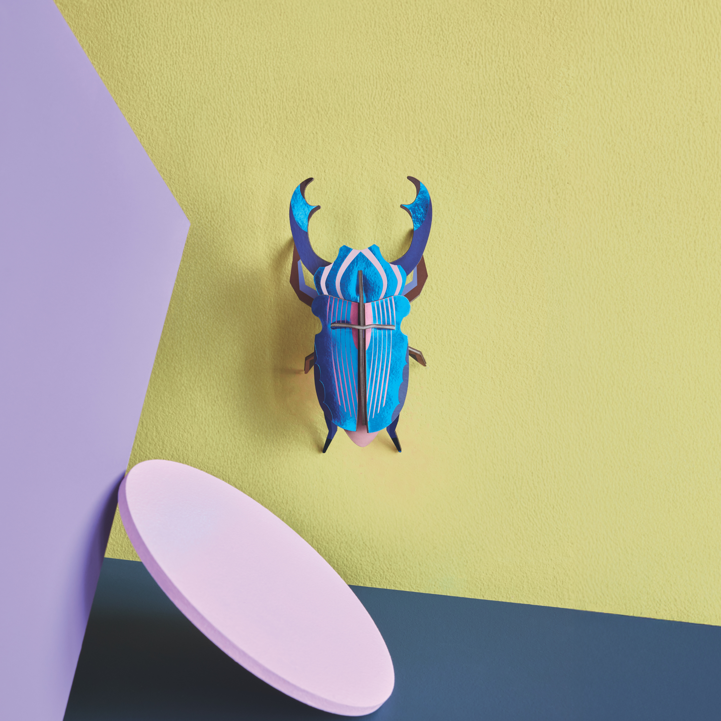 Wall Art Beetles (B6) Azure Stag Beetle | Studio Roof | Shop UNTIL ...