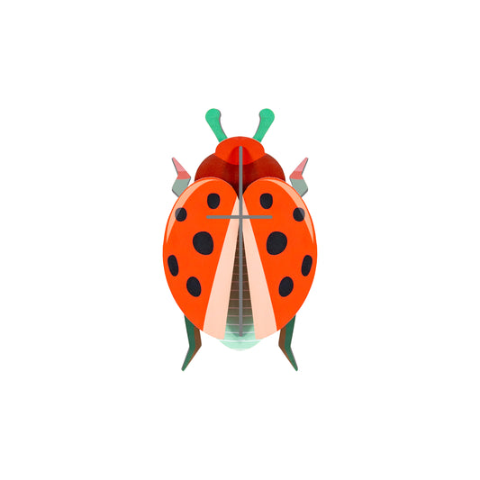 Studio Roof Wall Art Beetles (B7) Coccinelle Rouge