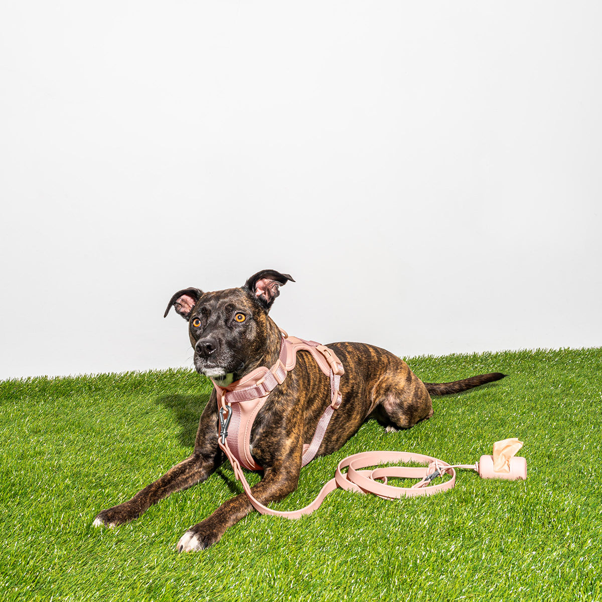 Wild One Dog Poop Bag Carrier Blush