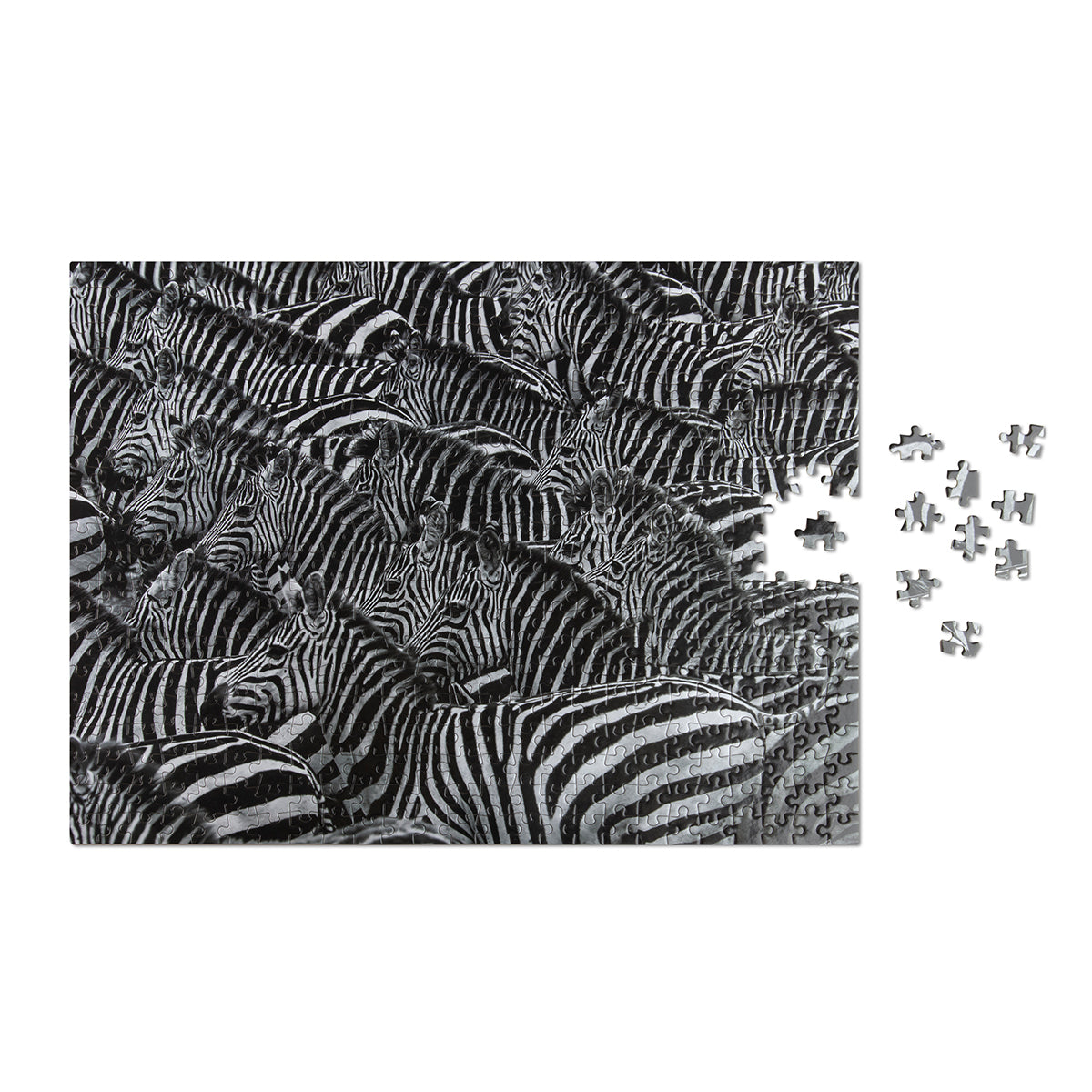 Puzzle Zebra (500 Piece)