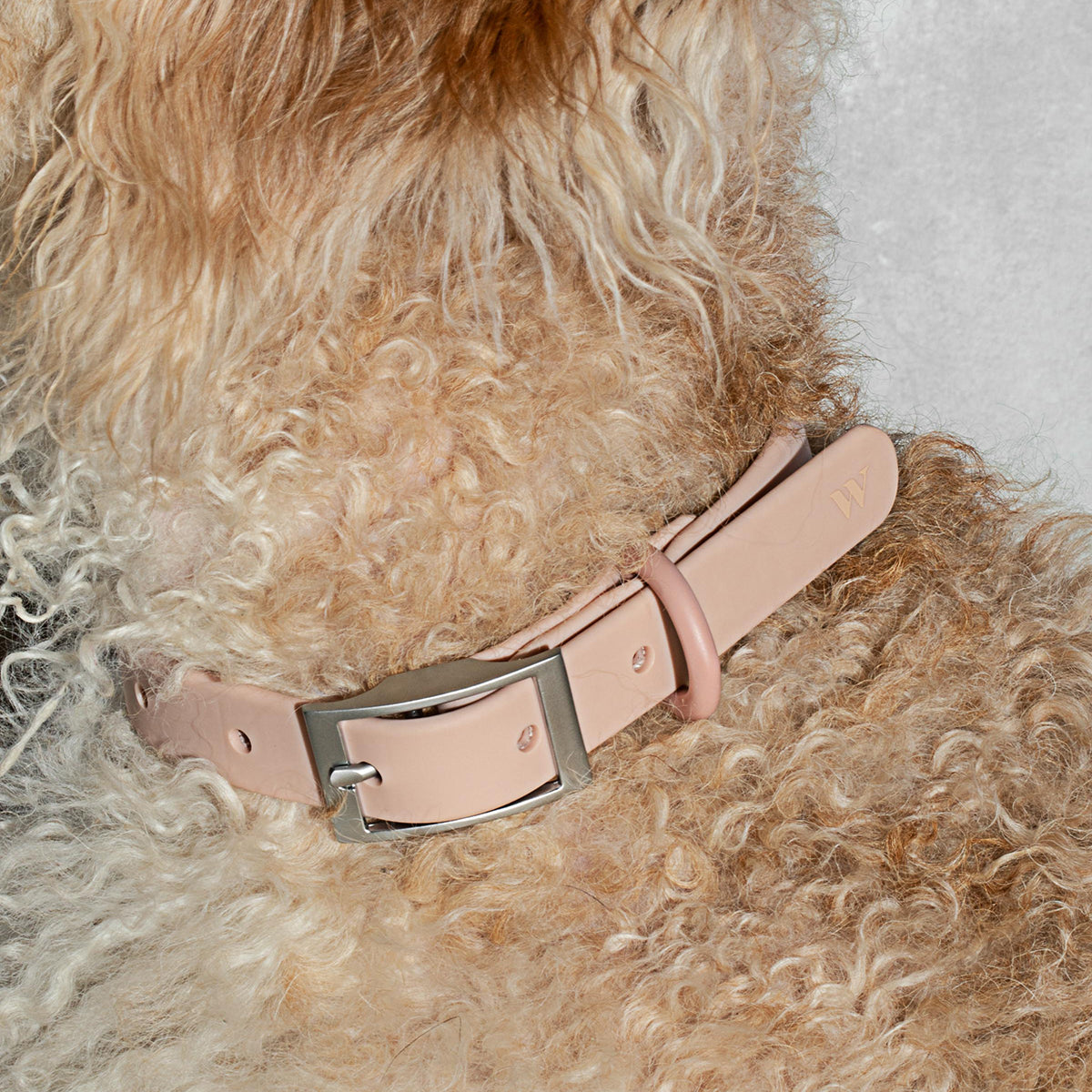 Dog Collar Medium Blush